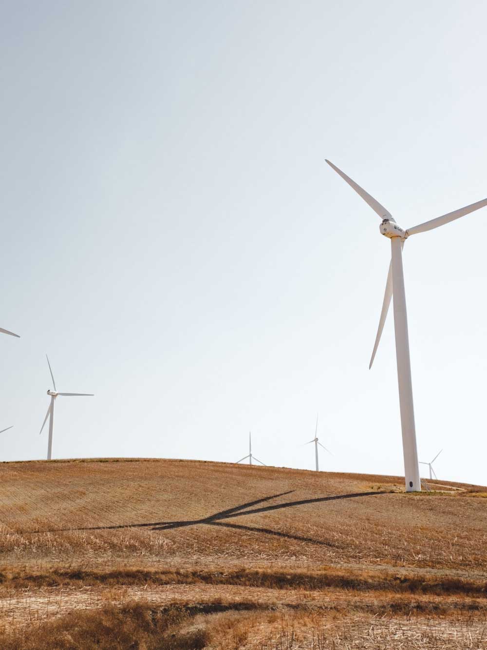 Wind turbines standing on a grassy plain, against a blue sky.